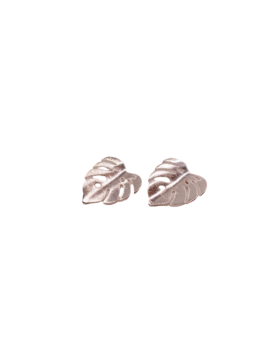 AROS FANY SILVER