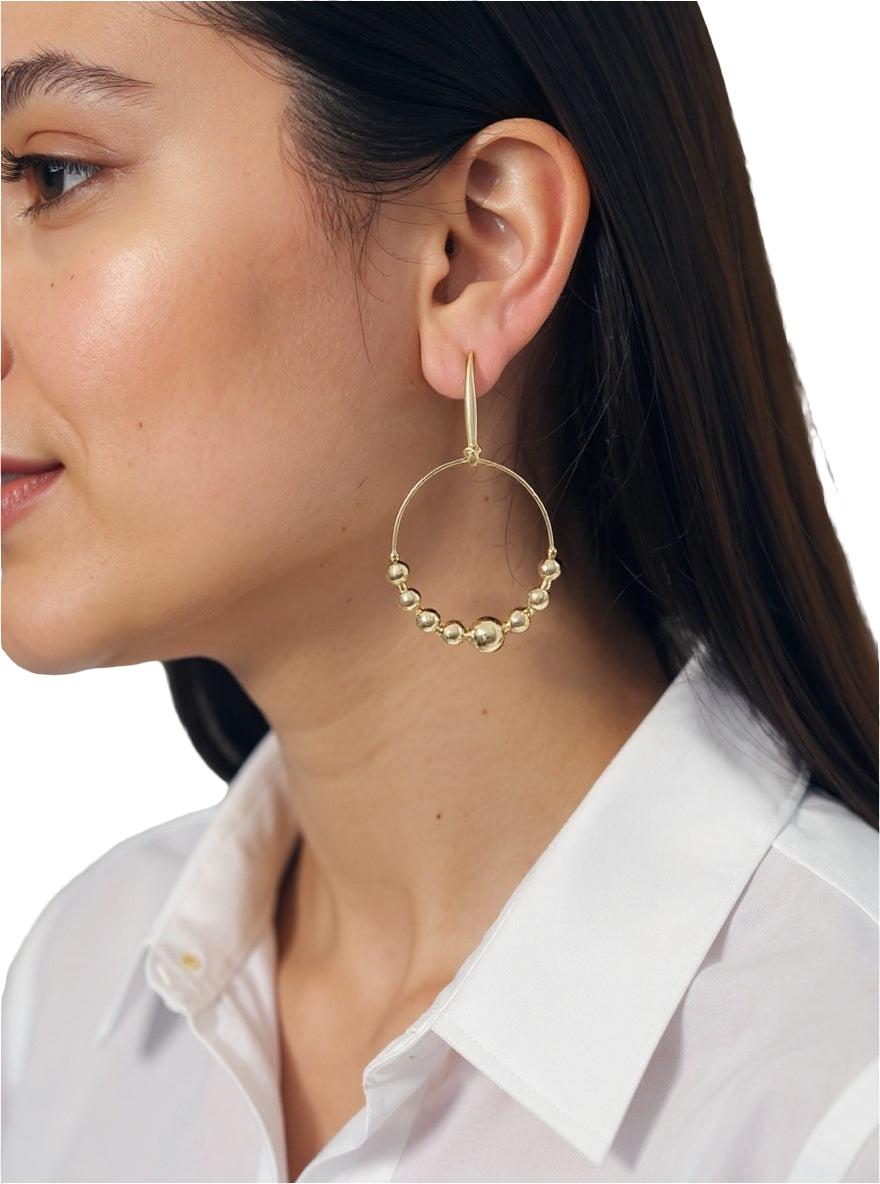 MAXI AROS ALI
