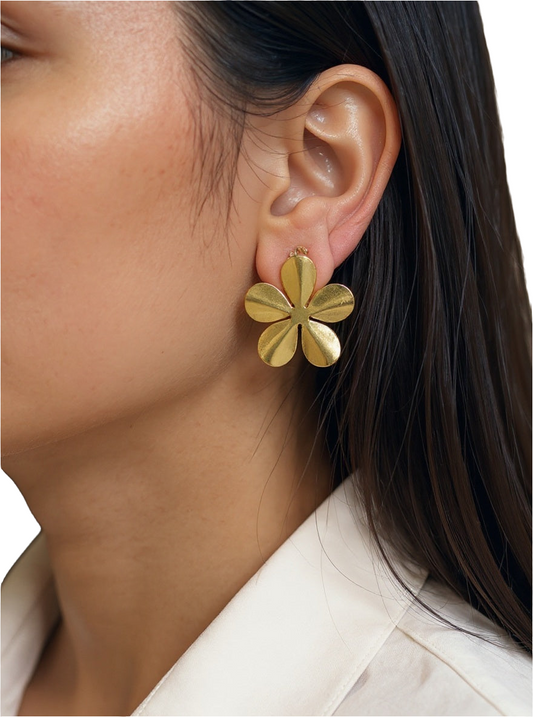 AROS FLORENCIA