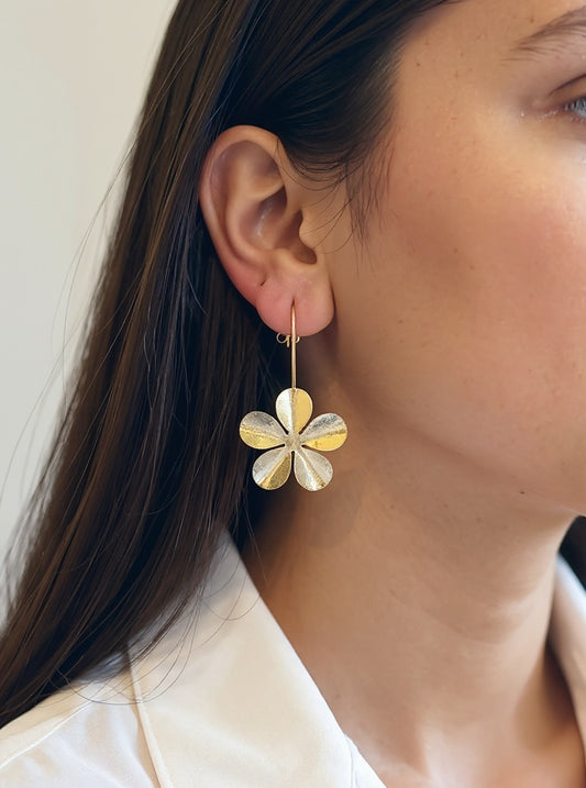 AROS FLORENCIA PASANTES