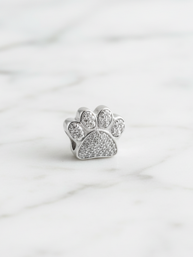 CHARM PAWIE PLATA 925