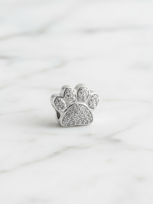 CHARM PAWIE PLATA 925