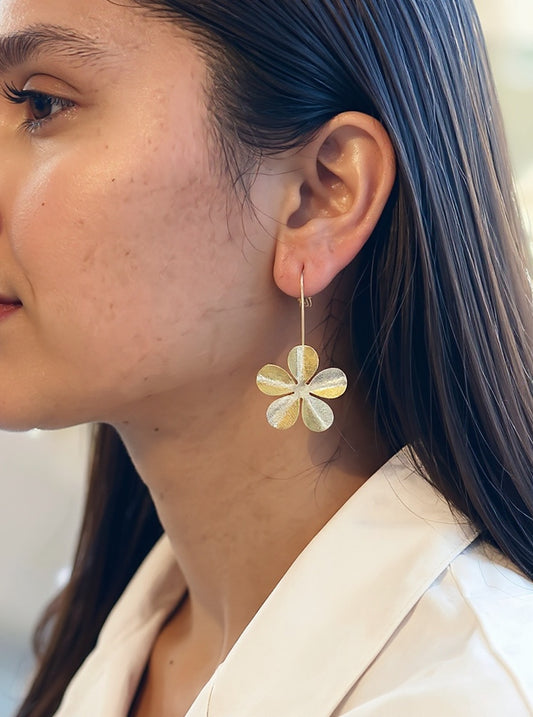 AROS FLORENCIA PASANTES